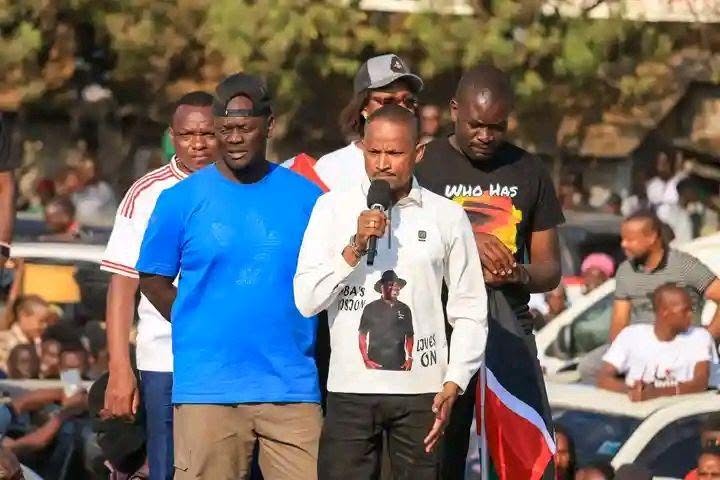 Registrar approves Linda Mwananchi Movement name after Tribunal order
