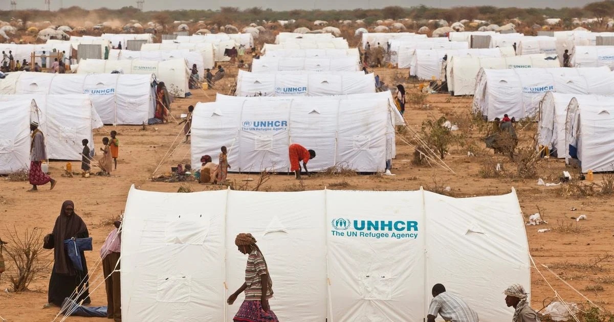 Refugees strain aid response as 50,000 Ethiopians enter Kenya